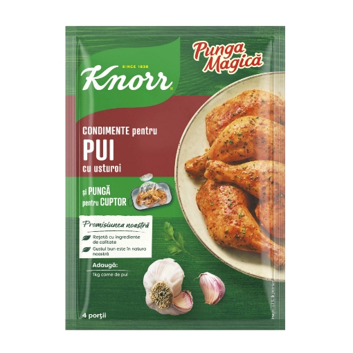 Picture of Spice Magic Bag for Chicken with Garlic Knorr 29g